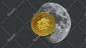 create dope 3d spin nft trading card, membership card, virtual acces passes