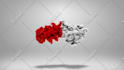 create amazing animated logo intro video