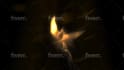 make Phoenix to BURNOUT and reveal your logo in full hd