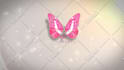 create butterfly logo  intro animation in HD