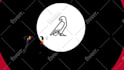 create pro custom logo animation