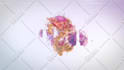 create colorful splash logo animation within 24 hours