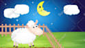 create explainer video, animated video,  2d animation
