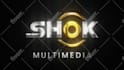 create an attractive youtube intro logo animation video