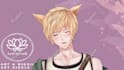 do live2d rigging for vtuber