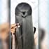 create braiding and any hair styling tutorials