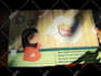 do childrens book illustration and pop up book