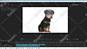create a puppet for adobe character animator