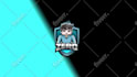 do stream animated twitch overlay for your live streaming