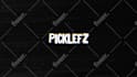 produce custom logo animation intro