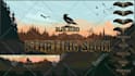 professional stream overlay and animated twitch overlay and logo, panels, alerts