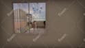 3d landscape, backyard, patio, pool, frontyard garden