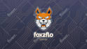 custom animated twitch overlay intros