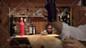 be drunk at the bar and relay your message