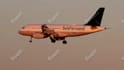 add your logo onto a plane video