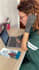 create high converting ugc video ads for tiktok, ig and meta