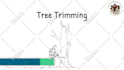 create a tree removal video or tree trimming video