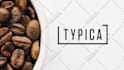 create stunning logo animation intro and outro