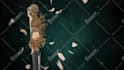 make 3d model, rig, 3d animation and composition with motion graphics