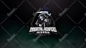 create esport logo animation
