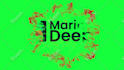 10 bumper intro video cool logo animation