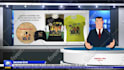 present your breaking news video cartoon style