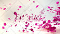 create an nature flower flying leaves intro