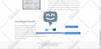 test your website or app and provide a detailed bug report
