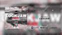 create professional music visualizer for youtube, instagram