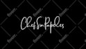 create a stunning signature logo animation