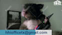 do funny short pest control video