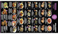 professionally design a modern menu or digital TV menu