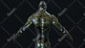 create custom 3d and 2d nft art with premium traits