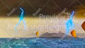 do professional vfx and product promotional video for you