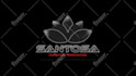 do custom animated logo