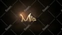 create burn to be gold intro animation