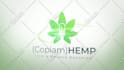 create a elegant nature logo animation with full HD