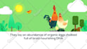 create 2d character animated explainer video for your business within 48 hours