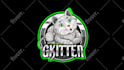 make an eye catching portarit, overlays, emotes,