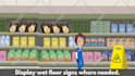 create 2d animated explainer video, custom 2d explainer video