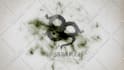 create amazing ink dragon logo intro