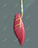 create your 3d medical anatomy scientific biomedical illustration or animation