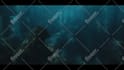 do a professional motion tracking