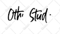 create a high quality signature logo animation
