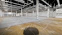 make video animations from point cloud, 3d model,2d cad