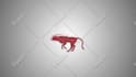 bring your logo to life with animation