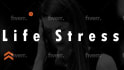 do premiere pro and after effect work for you