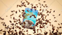 generate an appealing 3d product video