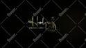 create best luxury logo reveal intro
