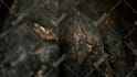 create epic cinematic 3d trailer logo reveal video animation